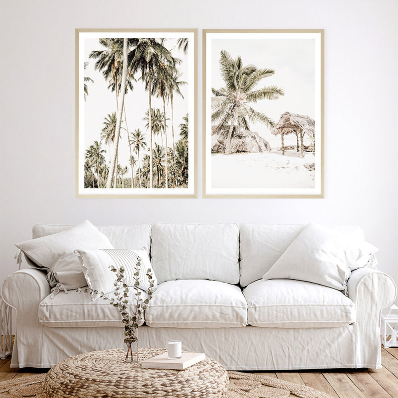 Coconut Palm Plantation Photo Art Print