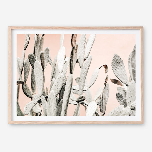 Shop Cacti Dreams Photo Art Print a Moroccan desert boho themed photography wall art print from The Print Emporium wall artwork collection - Buy Australian made fine art poster and framed prints for the home and your interior decor room, TPE-827-AP