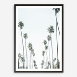 Shop California Palms II Art Print a coastal themed painted wall art print from The Print Emporium wall artwork collection - Buy Australian made fine art painting style poster and framed prints for the home and your interior decor room, TPE-482-AP
