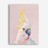 Shop Charlie The Cockatoo (Pink) Canvas Print a painted bird themed framed canvas wall art print from The Print Emporium artwork collection - Buy Australian made fine art painting style stretched canvas prints for the home and your interior decor space, TPE-220-CA-35X46-NF