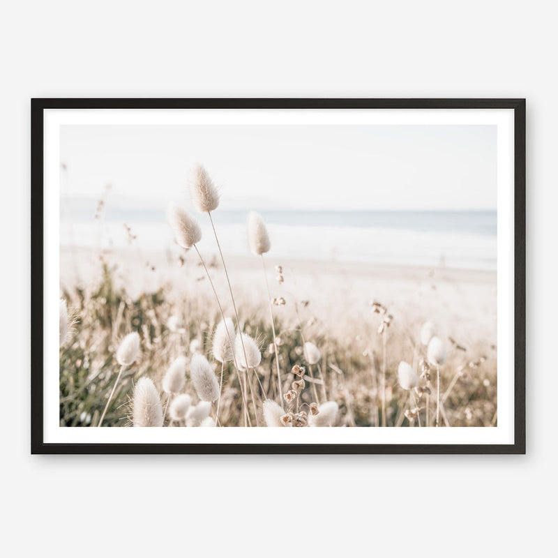 Shop Coastal Grass Photo Art Print a coastal themed photography wall art print from The Print Emporium wall artwork collection - Buy Australian made fine art poster and framed prints for the home and your interior decor, TPE-1051-AP