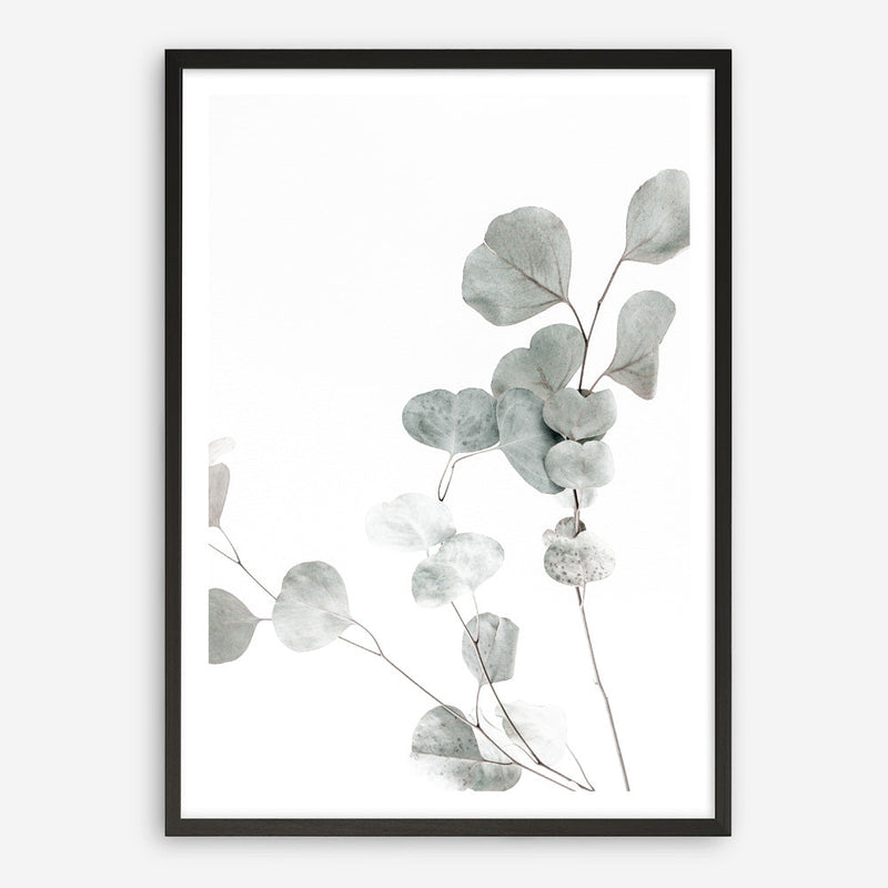 Shop Eucalyptus I Photo Art Print a photography wall art print from The Print Emporium wall artwork collection - Buy Australian made fine art poster and framed prints for the home and your interior decor room, TPE-623-AP