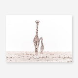 Shop Giraffes II Photo Art Print a photography wall art print from The Print Emporium wall artwork collection - Buy Australian made fine art poster and framed prints for the home and your interior decor room, TPE-710-AP