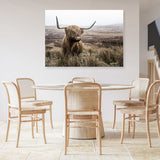 Shop Highland Cow I Photo Canvas Print a photography framed stretched canvas print from The Print Emporium wall artwork collection - Buy Australian made prints for the home and your interior decor space, TPE-082-CA-35X46-NF