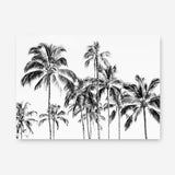 Shop Island Coconut Palms Photo Canvas Print a coastal themed photography framed stretched canvas print from The Print Emporium wall artwork collection - Buy Australian made prints for the home and your interior decor space, TPE-1281-CA-35X46-NF
