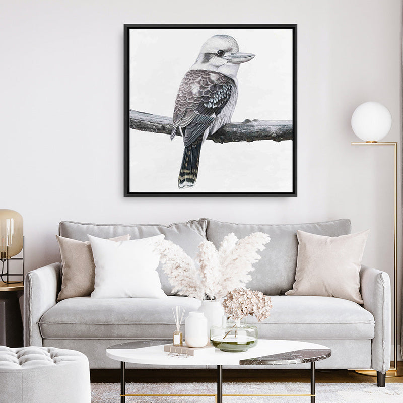Shop Kookaburra On A Branch (Square) Canvas Print a painted bird themed framed canvas wall art print from The Print Emporium artwork collection - Buy Australian made fine art painting style stretched canvas prints for the home and your interior decor space, TPE-388-CA-40X40-NF