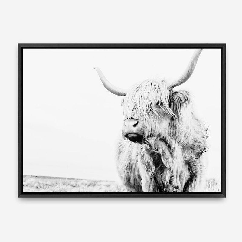 Shop Lone Highland Cow B&W Photo Canvas Print a photography framed stretched canvas print from The Print Emporium wall artwork collection - Buy Australian made prints for the home and your interior decor space, TPE-536-CA-35X46-NF