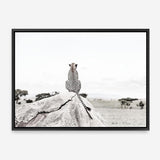 Shop Lookout Point Photo Canvas Print a photography framed stretched canvas print from The Print Emporium wall artwork collection - Buy Australian made prints for the home and your interior decor space, TPE-878-CA-35X46-NF
