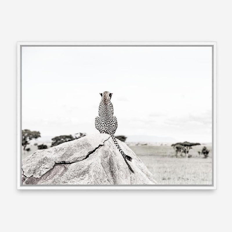 Shop Lookout Point Photo Canvas Print a photography framed stretched canvas print from The Print Emporium wall artwork collection - Buy Australian made prints for the home and your interior decor space, TPE-878-CA-35X46-NF
