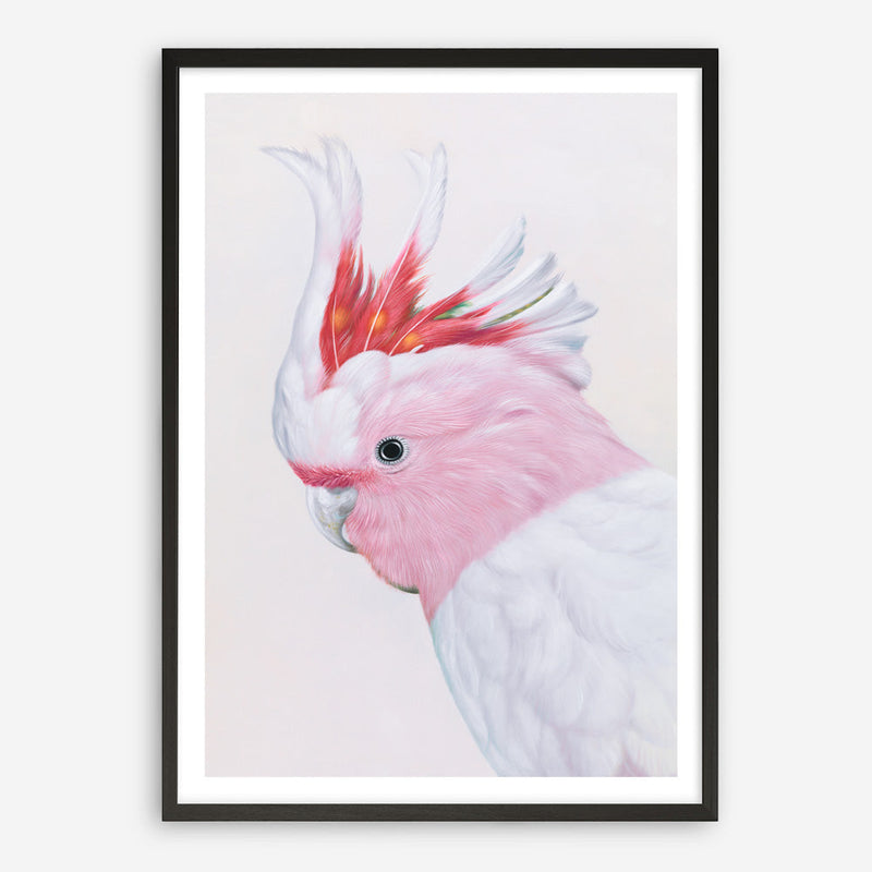 Shop Matilda The Major Mitchell Cockatoo Art Print a painted bird themed wall art print from The Print Emporium wall artwork collection - Buy Australian made fine art painting style poster and framed prints for the home and your interior decor room, TPE-203-AP
