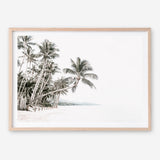 Shop Palm Island Photo Art Print a coastal themed photography wall art print from The Print Emporium wall artwork collection - Buy Australian made fine art poster and framed prints for the home and your interior decor, TPE-511-AP