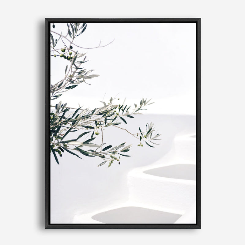 Shop Santorini Olive Branch Photo Canvas Print a coastal themed photography framed stretched canvas print from The Print Emporium wall artwork collection - Buy Australian made prints for the home and your interior decor space, TPE-1279-CA-35X46-NF