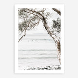 Shop Tea Tree Bay I Photo Art Print a coastal themed photography wall art print from The Print Emporium wall artwork collection - Buy Australian made fine art poster and framed prints for the home and your interior decor, TPE-615-AP