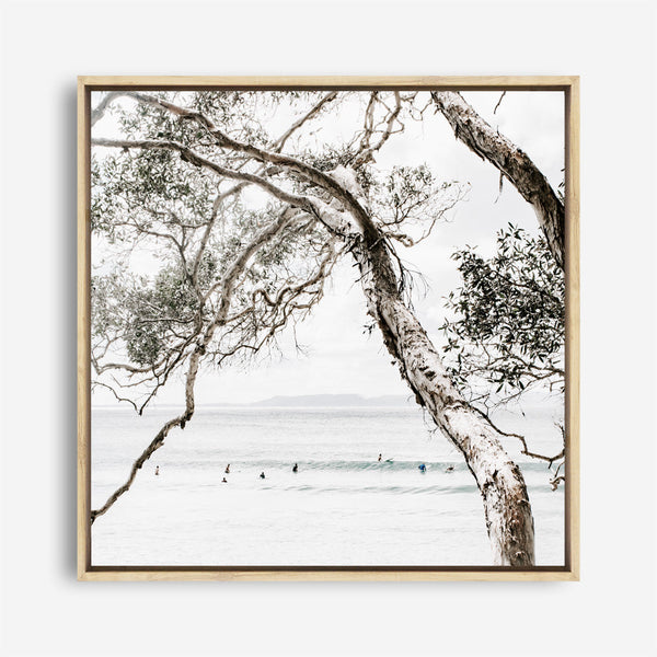Shop Tea Tree Bay (Square) Photo Canvas a coastal themed photography framed stretched canvas print from The Print Emporium wall artwork collection - Buy Australian made prints for the home and your interior decor space, TPE-627-CA-40X40-NF