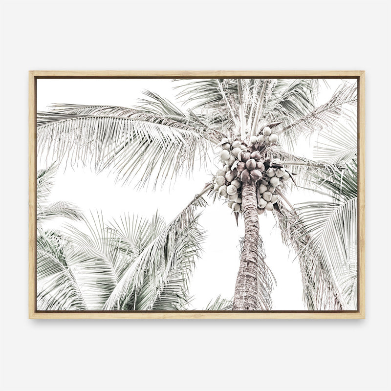 Shop Tropical Palms Photo Canvas Print a photography framed stretched canvas print from The Print Emporium wall artwork collection - Buy Australian made prints for the home and your interior decor space, TPE-676-CA-35X46-NF