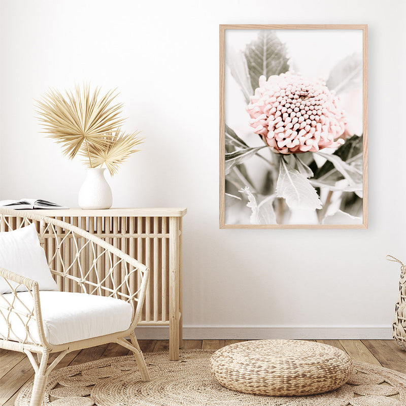 Shop Waratah Flowers III Photo Art Print a floral themed photography wall art print from The Print Emporium wall artwork collection - Buy Australian made fine art poster and framed prints for the home and your interior decor room, TPE-959-AP