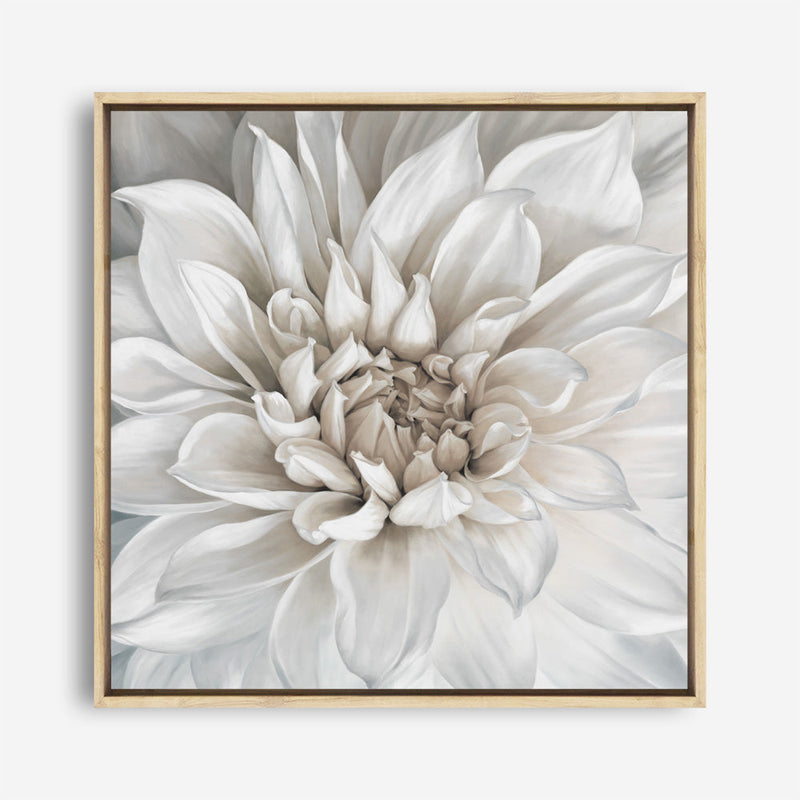 Shop White Dahlia (Square) Canvas Print a floral themed painted framed canvas wall art print from The Print Emporium artwork collection - Buy Australian made fine art painting style stretched canvas prints for the home and your interior decor space, TPE-187-CA-40X40-NF