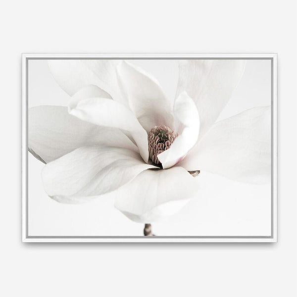 Shop White Magnolia Flower Photo Canvas Print a floral themed photography framed stretched canvas print from The Print Emporium wall artwork collection - Buy Australian made prints for the home and your interior decor space, TPE-591-CA-35X46-NF