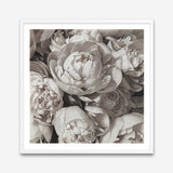 Shop White Peony Buds (Square) Art Print a floral themed painted wall art print from The Print Emporium wall artwork collection - Buy Australian made fine art painting style poster and framed prints for the home and your interior decor room, TPE-384-AP
