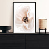 Shop Winter Blooms II Photo Art Print a floral themed photography wall art print from The Print Emporium wall artwork collection - Buy Australian made fine art poster and framed prints for the home and your interior decor room, TPE-1139-AP