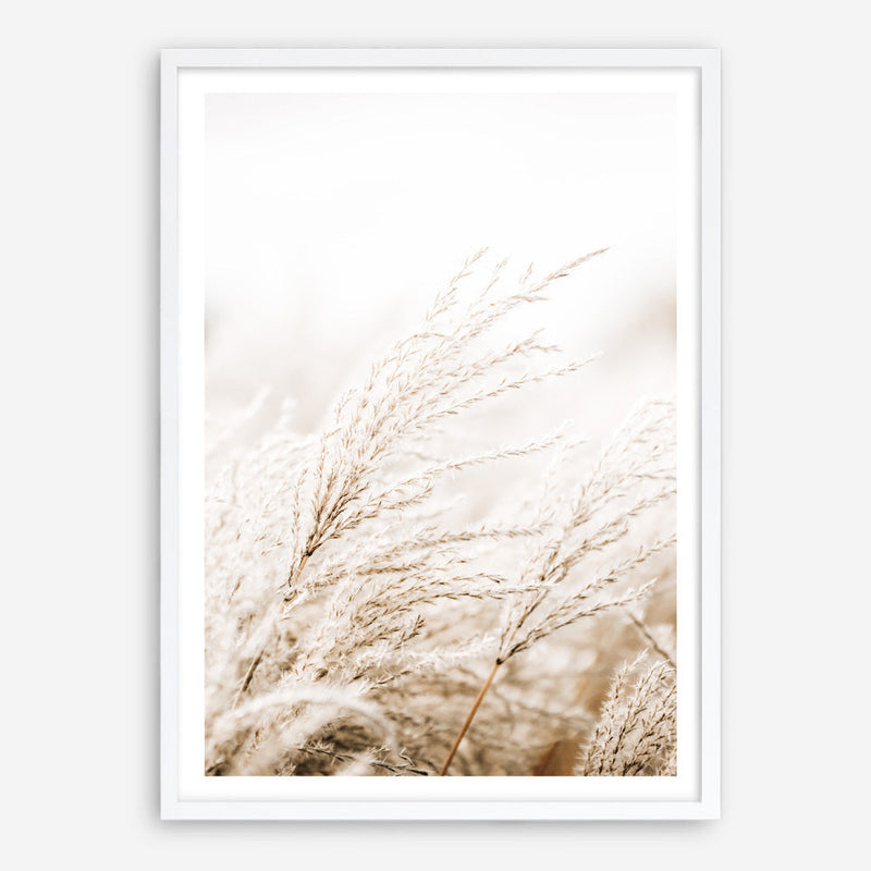 Shop Winter Pampas Reeds Photo Art Print a coastal themed photography wall art print from The Print Emporium wall artwork collection - Buy Australian made fine art poster and framed prints for the home and your interior decor, TPE-1135-AP
