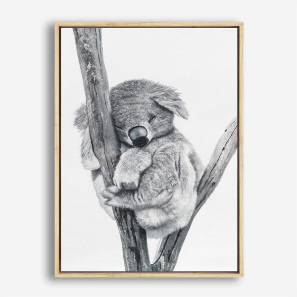 Shop Sleeping Koala Canvas Print abstract painted design wall artwork prints by The Print Emporium buy Australian made fine art poster and framed canvas wall decor prints for the home and add some interior inspiration for your bedroom living room dining room or home officeTPE-353-CA-35X46-NF