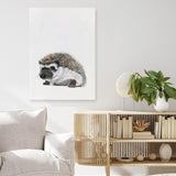 Baby Hedgehog Canvas Print