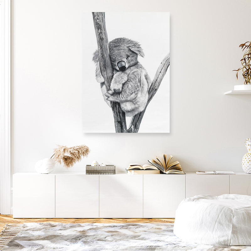 Sleeping Koala Canvas Print
