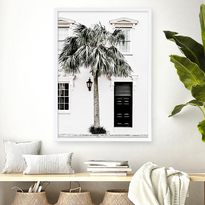 Palm House II Photo Art Print