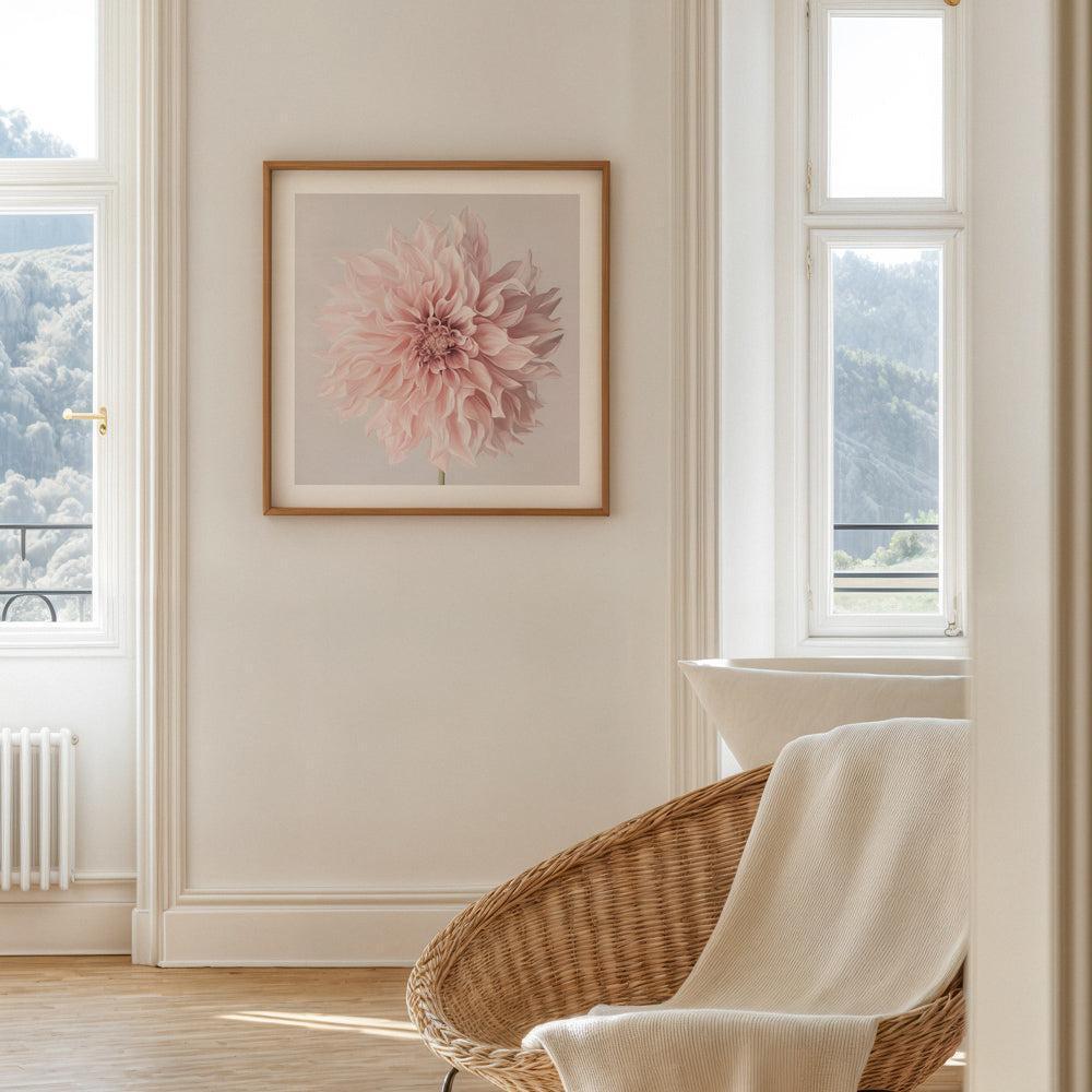 Floral Wall Art & Canvas Prints-The Print Emporium