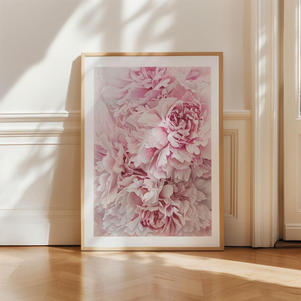 Peonies Wall Art & Canvas Prints - The Print Emporium