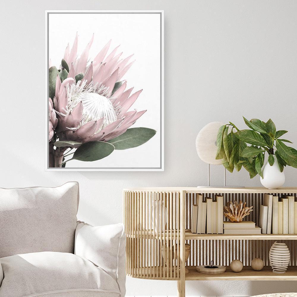 Protea Wall Art & Canvas Prints - The Print Emporium