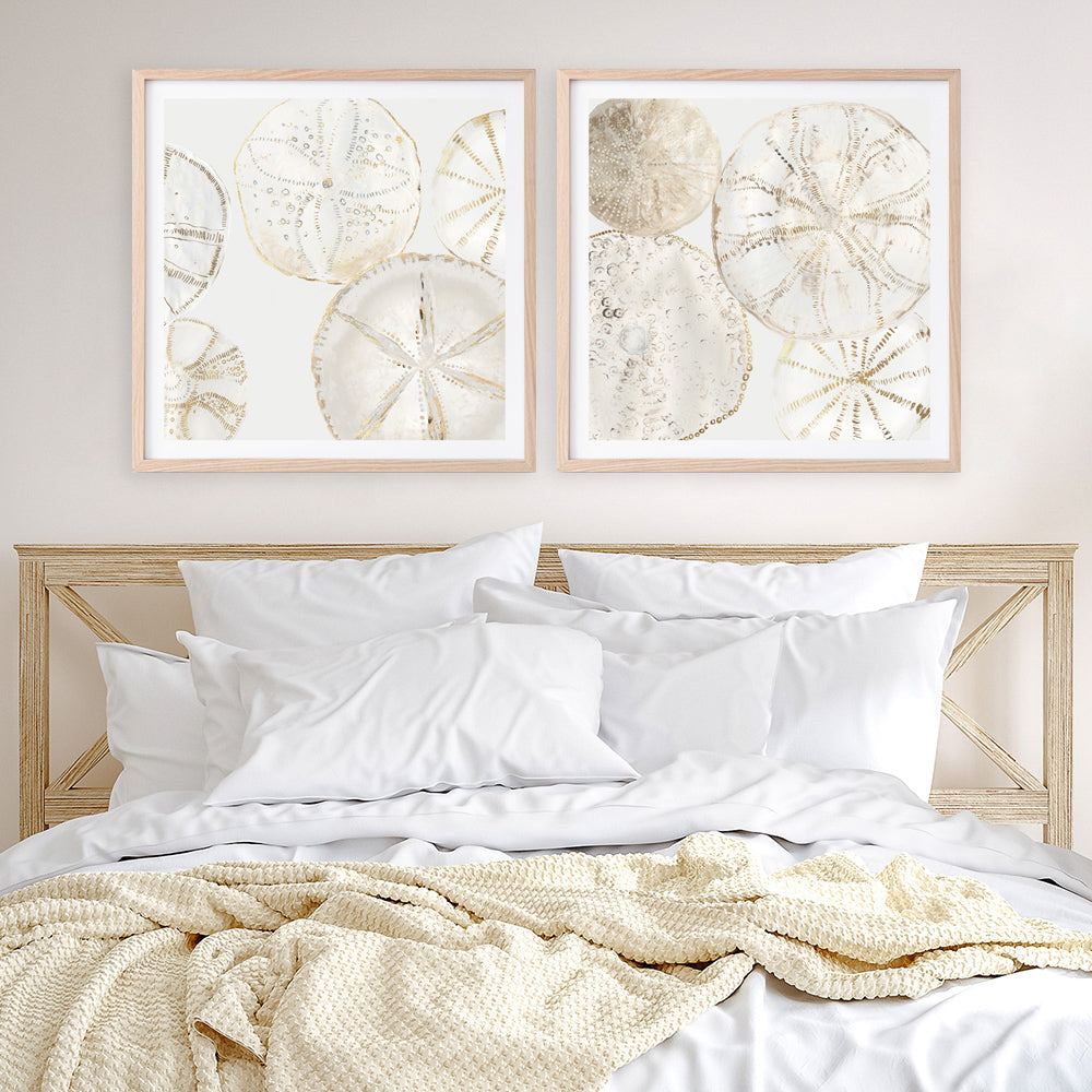 Seashell Wall Art & Canvas Prints-The Print Emporium