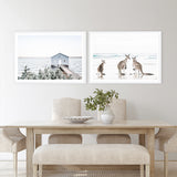 Blue Boat Shed & Three Kangaroos Photo Art Print Set