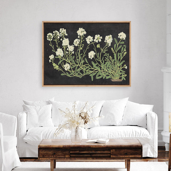 Vintage Flowers on Black Canvas Print