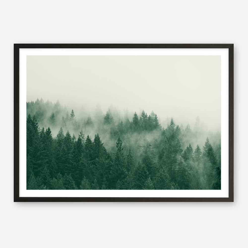 Emerald Forest No. 1 Art Print