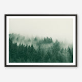 Emerald Forest No. 1 Art Print