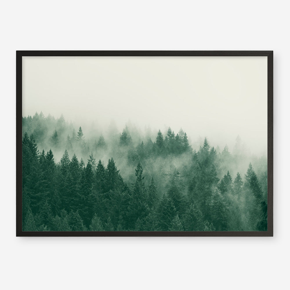 Emerald Forest No. 1 Art Print