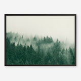 Emerald Forest No. 1 Art Print