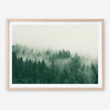 Emerald Forest No. 1 Art Print