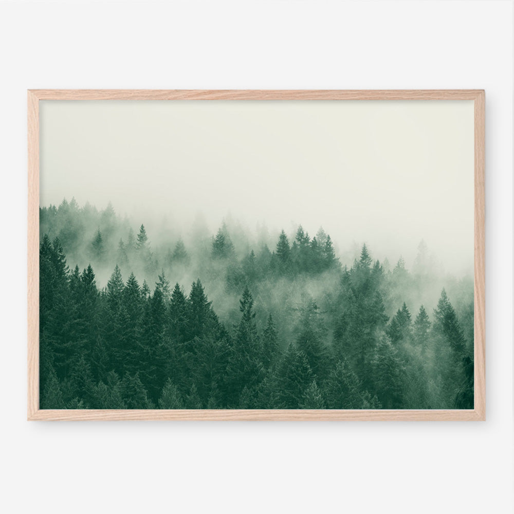 Emerald Forest No. 1 Art Print