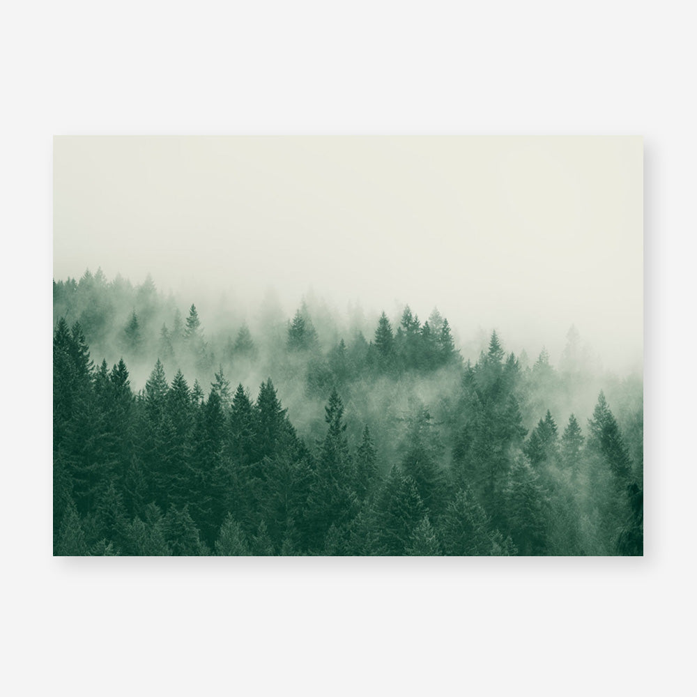 Emerald Forest No. 1 Art Print