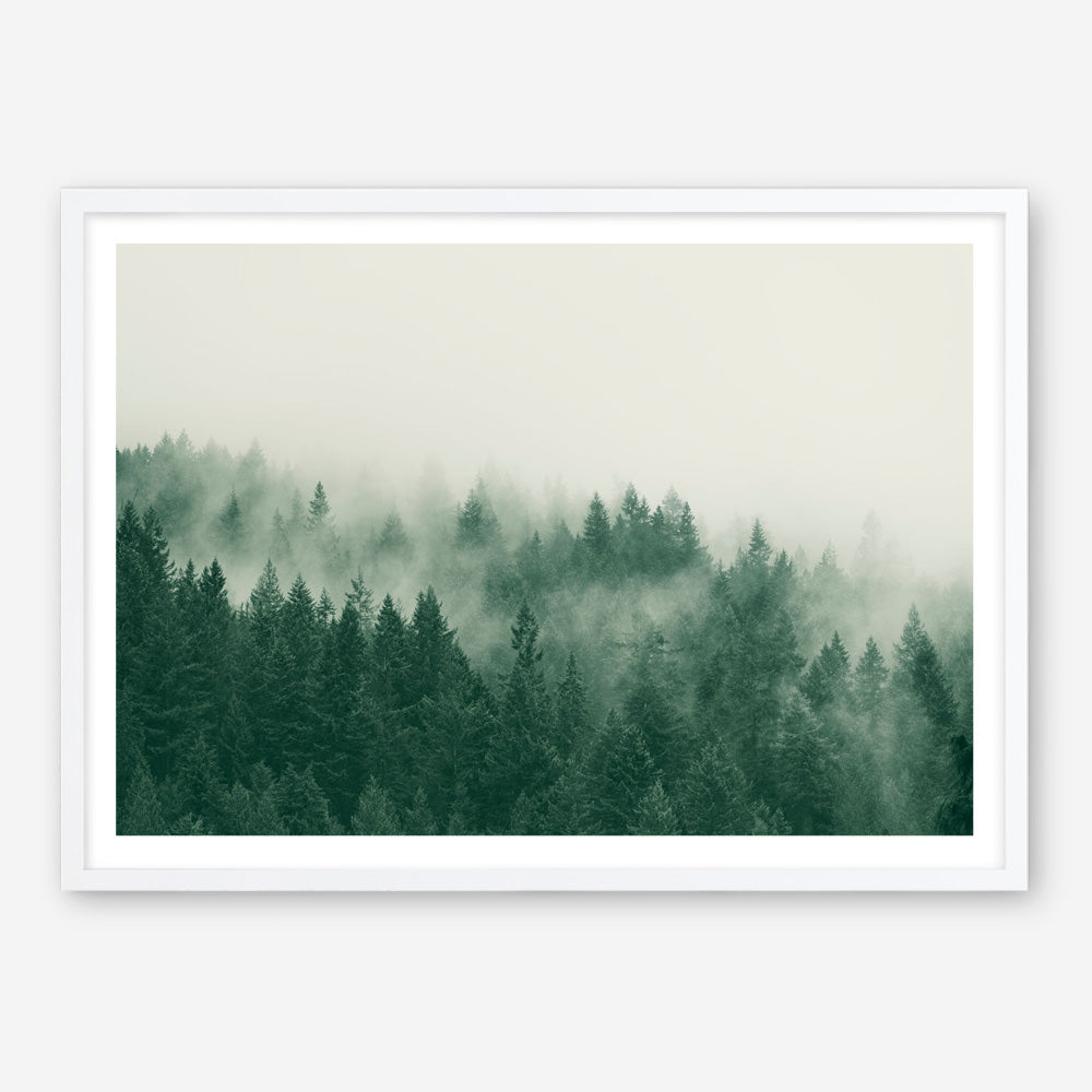 Emerald Forest No. 1 Art Print
