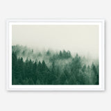 Emerald Forest No. 1 Art Print