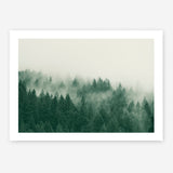 Emerald Forest No. 1 Art Print