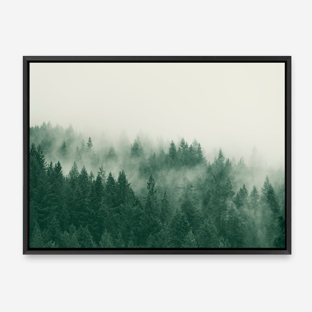 Emerald Forest No. 1 Canvas Print
