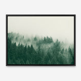 Emerald Forest No. 1 Canvas Print