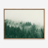 Emerald Forest No. 1 Canvas Print