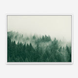 Emerald Forest No. 1 Canvas Print