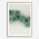 Emerald Forest No. 2 Art Print